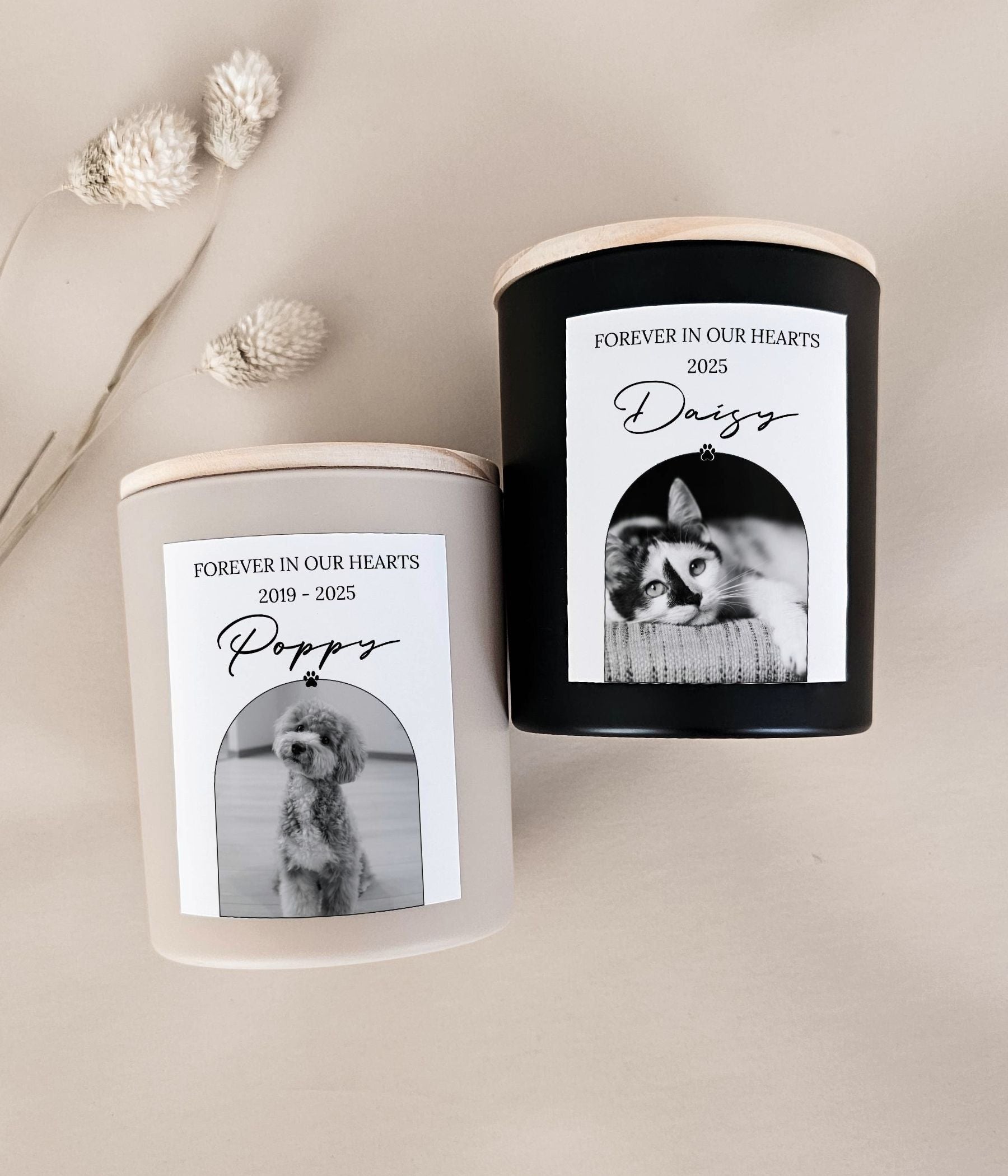 Pet Memorial Candle Sympathy Gift Box