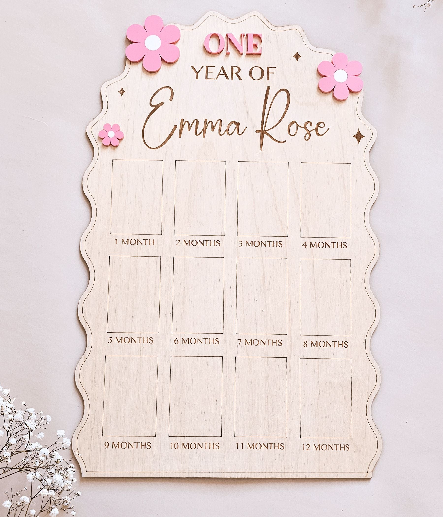 Baby First Year Photo Board